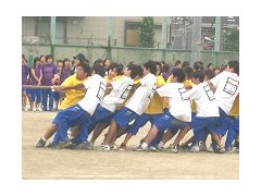 东京都立北园高等学校体育祭