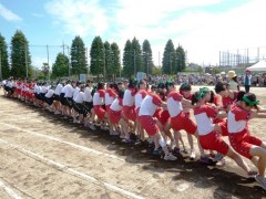 东京都立狛江高等学校体育祭