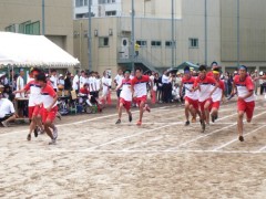 东京都立狛江高等学校体育祭