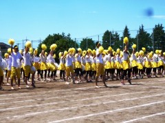 东京都立狛江高等学校体育祭