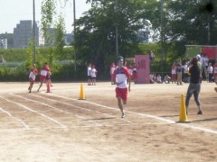 东京都立狛江高等学校体育祭