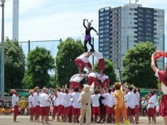 东京都立文京高等学校体育祭