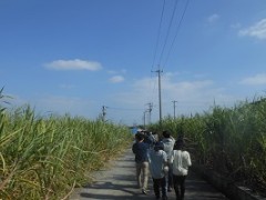 东京都立文京高等学校修学旅行