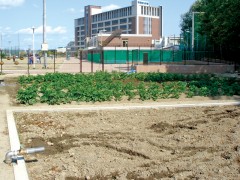 常翔啓光学園高等学校设施