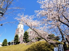 明光学园高校校园一角