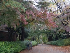 自由学园高等科校园风光