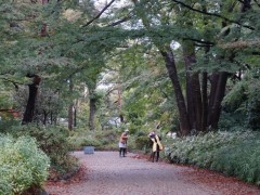 自由学园高等科校园风光