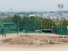 大阪体育大学浪商高中野球场