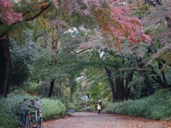 自由学园学校综合（2）