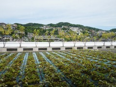 云雀丘学园高等学校校园一角