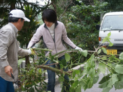 冲绳尚学高等学校大扫除