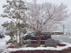 朝日塾高等学校 校园雪景