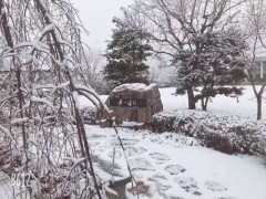 朝日塾高等学校 校园雪景