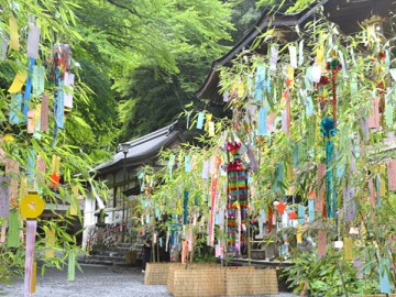 日本的七夕节 实现愿望的节日