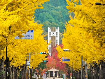 日本大学介绍：冈山大学