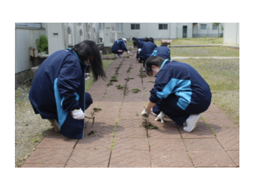 西山学院高中：校园环境美化活动